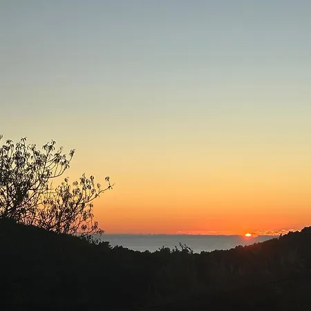 Peaceful Oasis With Sea View And Parking Spot