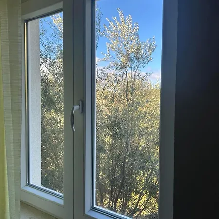 Peaceful Oasis With Sea View And Parking Spot Apartment *